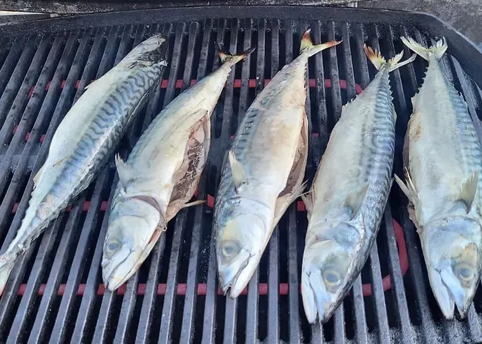 L Authentique * Агон-Кутенвиль