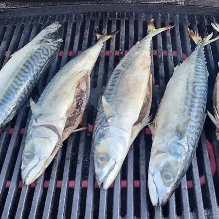 L Authentique * Agon-Coutainville